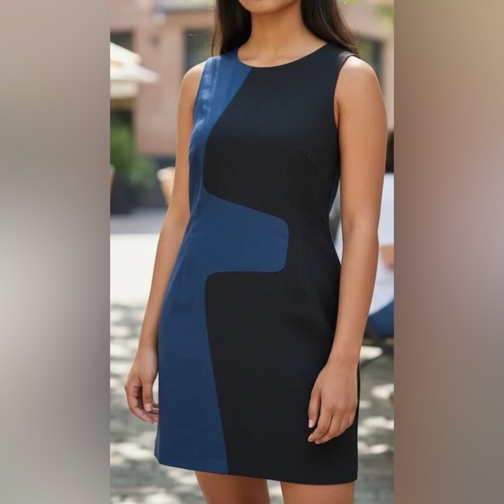 Rag & Bone Black & Navy Colorblock Sheath Dress